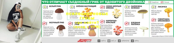 соль ск Новодвинск