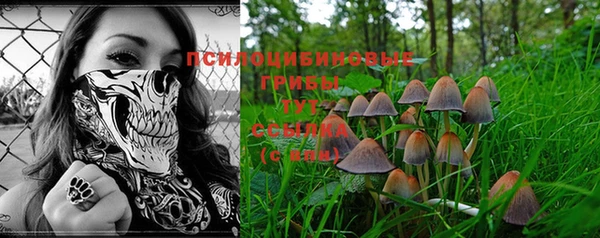 соль ск Новодвинск