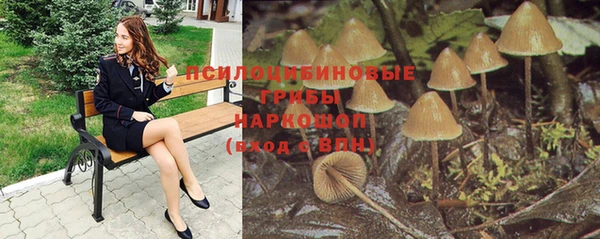 спайс Новозыбков