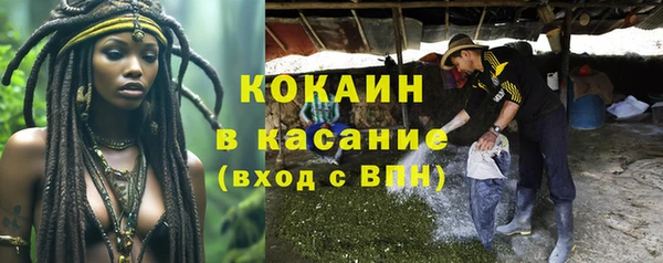 соль ск Новодвинск