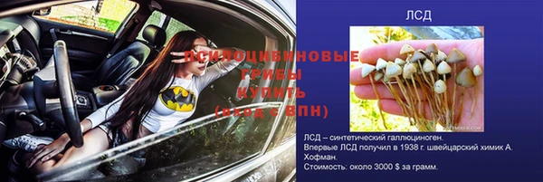 спайс Новозыбков