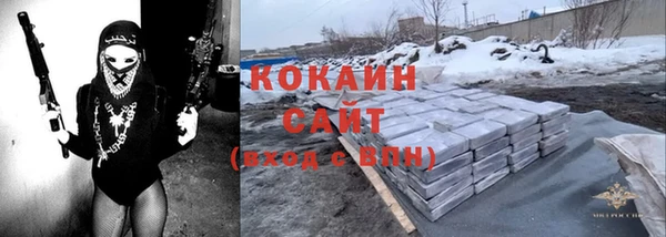 соль ск Новодвинск